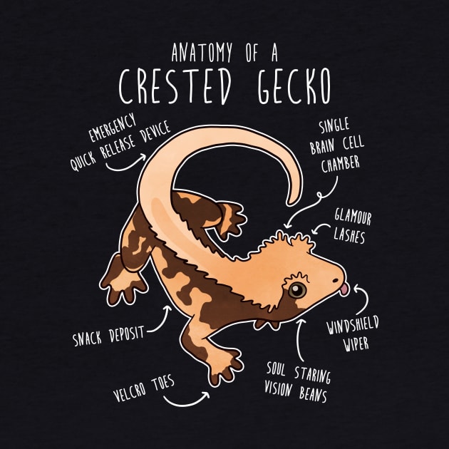 Crested Gecko Lizard Reptile Anatomy by Psitta